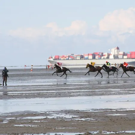 Appartement Auf Der Duene Cuxhaven