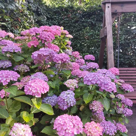 Appartement Auf Der Duene *