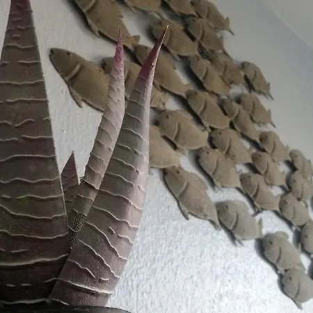 Auf Der Duene Cuxhaven