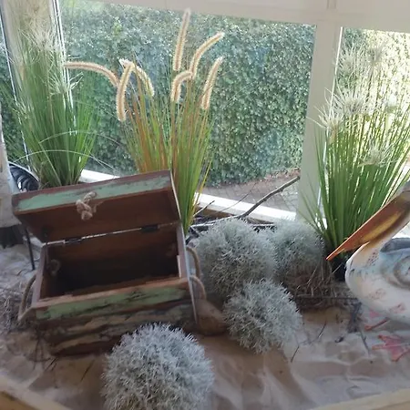 Auf Der Duene * Cuxhaven