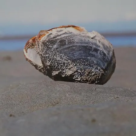 Auf Der Duene Cuxhaven
