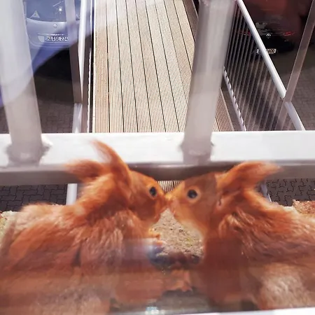 Auf Der Duene Appartement Cuxhaven