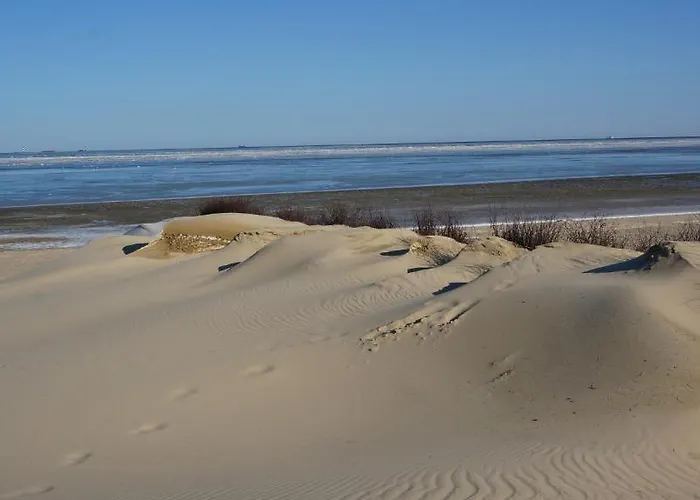 奥夫德顿公寓 *