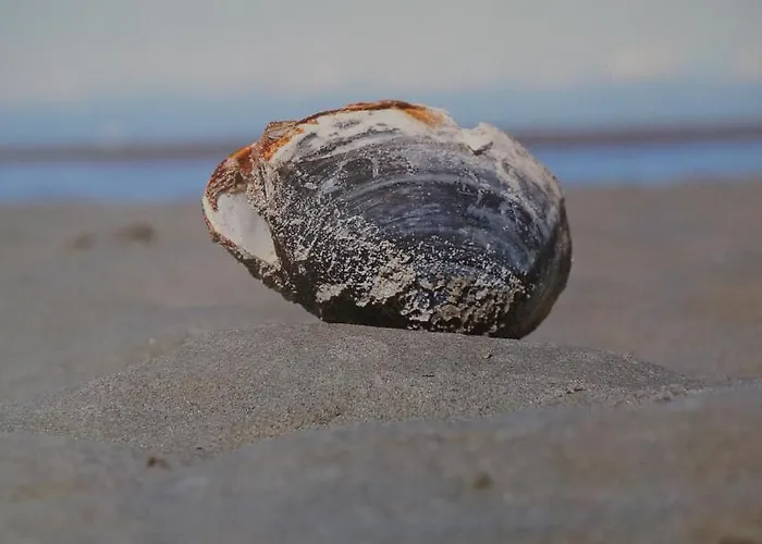 奥夫德顿公寓 库克斯港